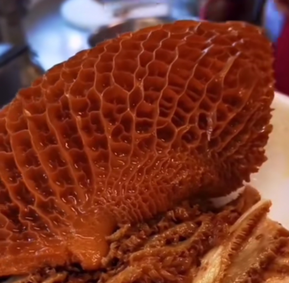 卤牛肚的简单方法,卤牛肚的家常做法大全视频