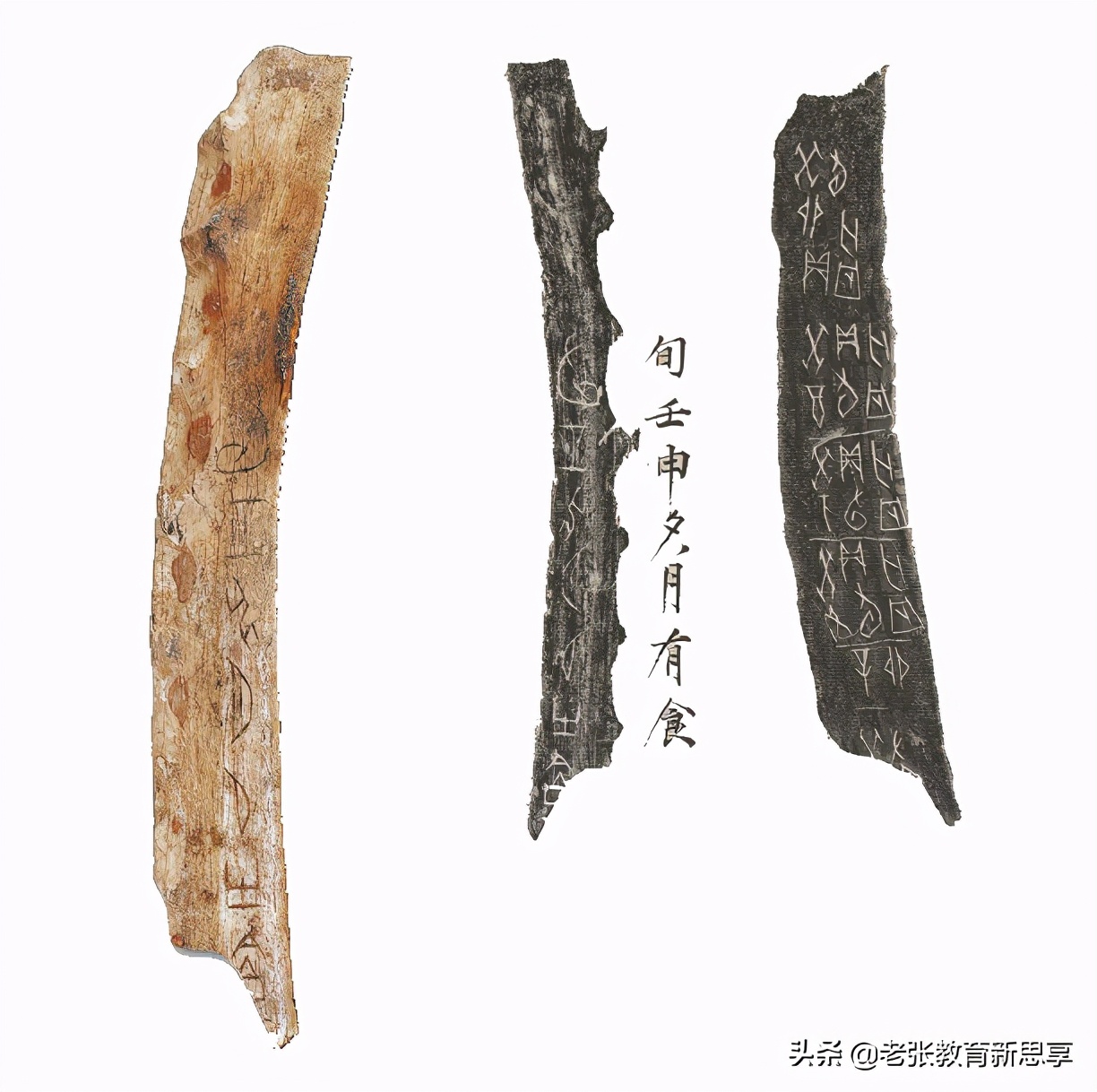 涨知识生肖,牛年感悟牛文化