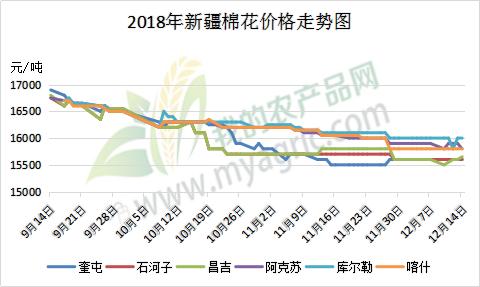 郑棉反弹后市走势,郑棉短期价格呈现反弹趋势