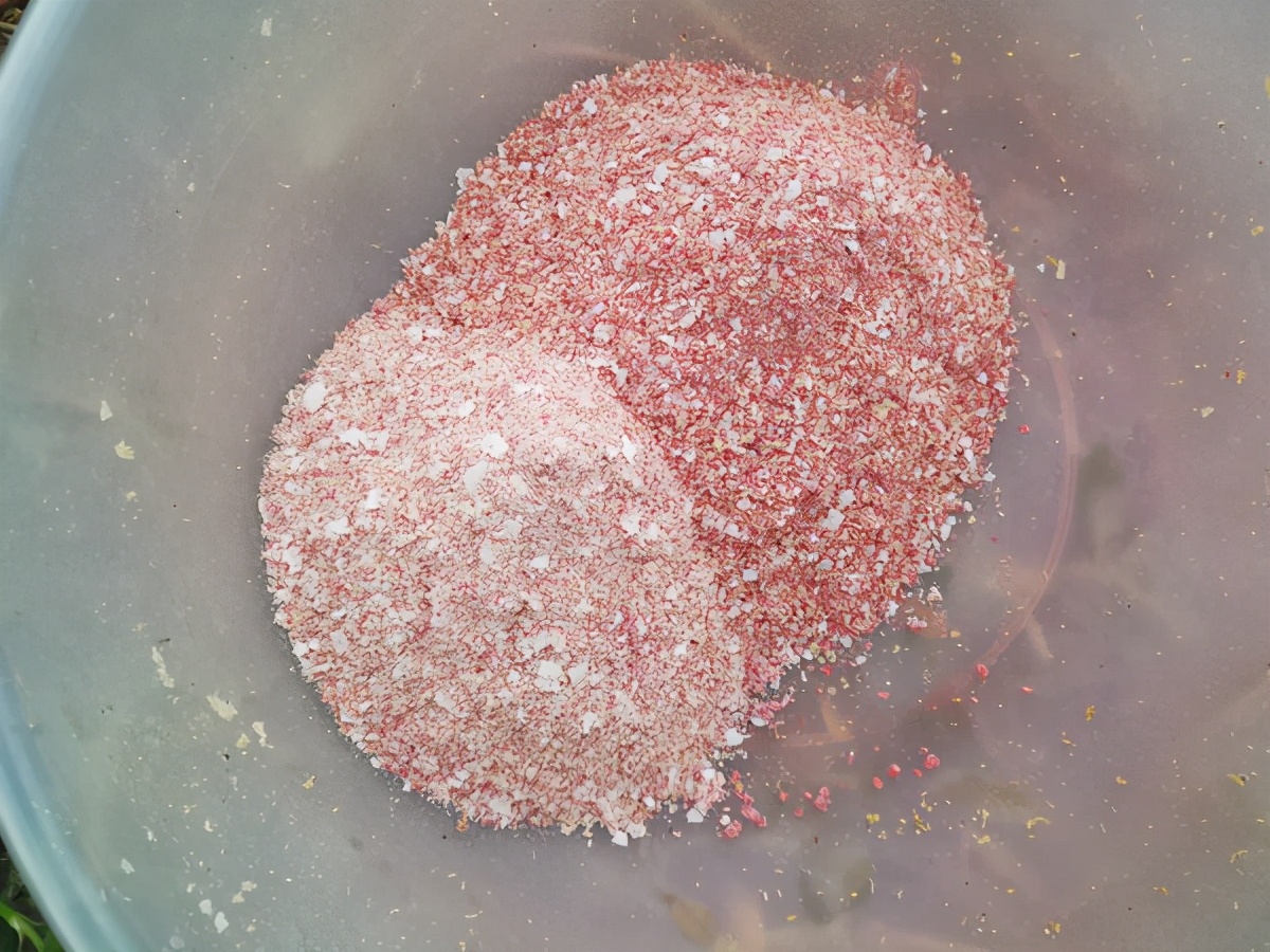 疯钓鲫是什么味的,疯钓鲫加蓝鲫