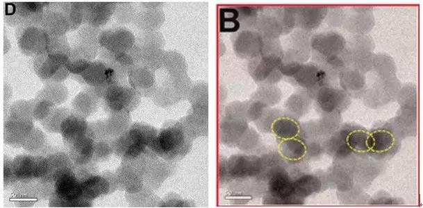 化学界最新新闻,化学文章撤稿