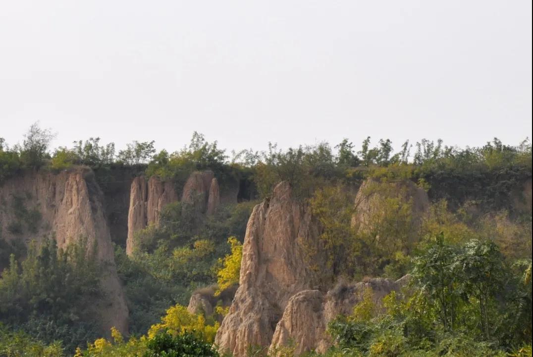全国林草生物多样性保护成就展,林业生物多样性保护