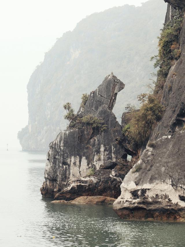 这里虽然风景如画人们生活的却很凄惨没日没夜的追着大船讨生活