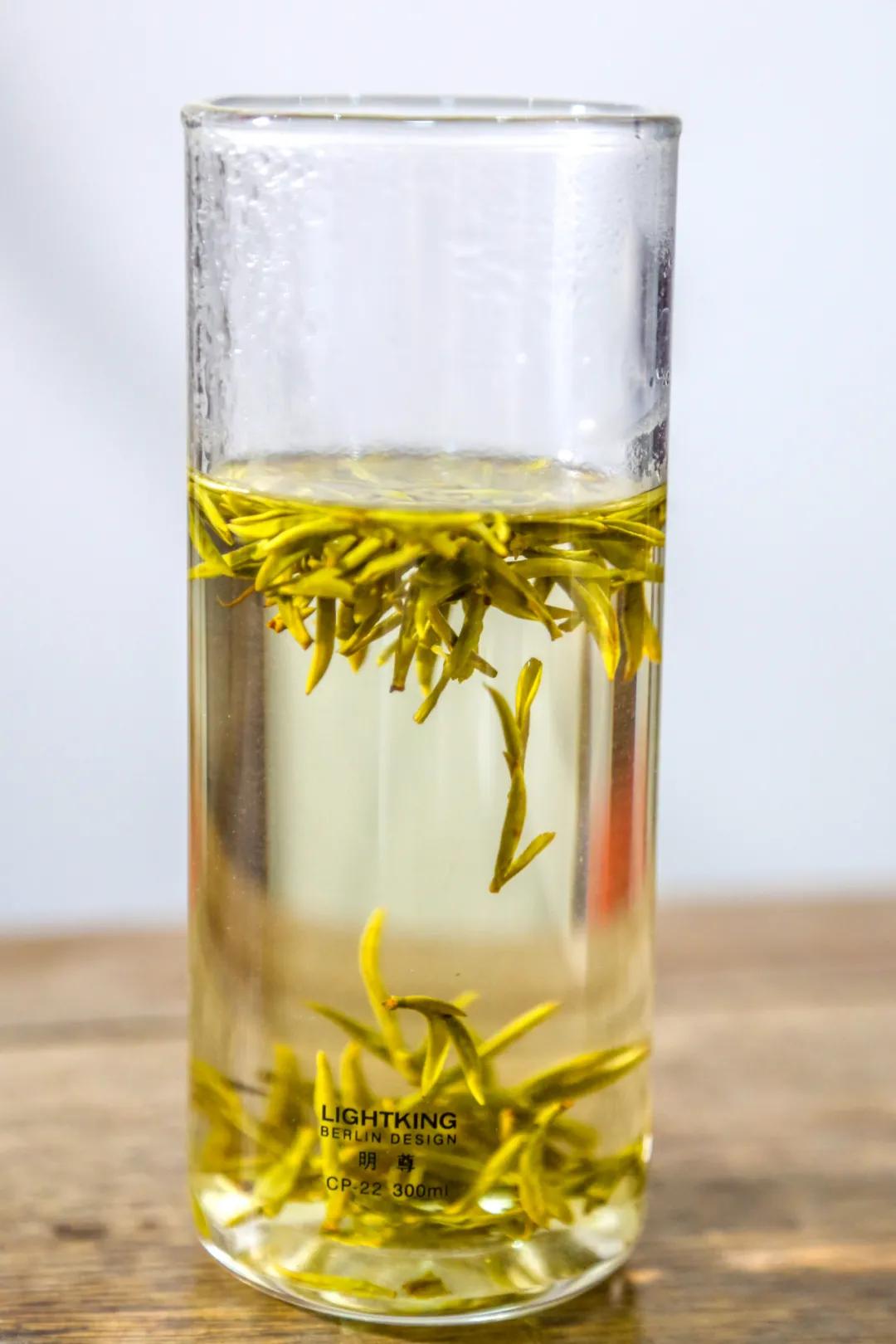 平阳黄茶滋味,平阳黄茶推荐