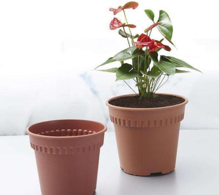 养花积水垫什么,养花排水层用什么最好