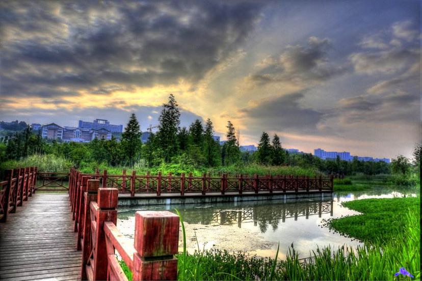 贵州大学最美是哪个校区,贵州最低调的大学