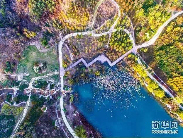 矿山生态修复的现状问题及对策,矿山修复案例小标题