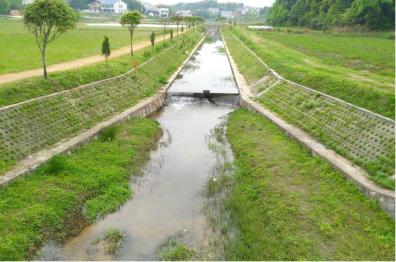 青蛙住“宾馆”，农田会呼吸，这个村发生了啥？