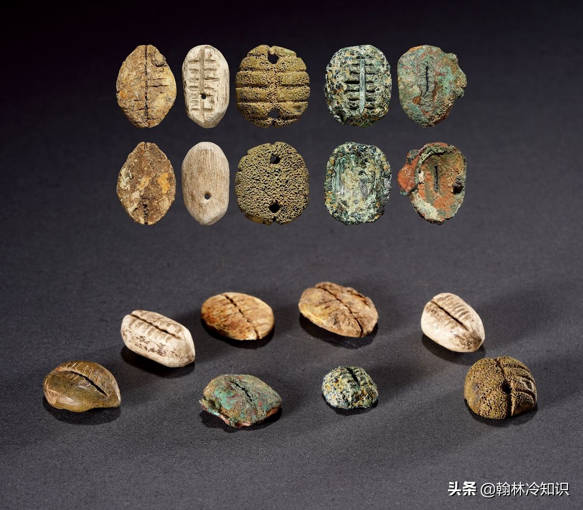 海边捡的贝壳能值多少钱,海边贝壳值钱吗