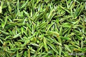 碧螺春茶介绍中国十大名茶,顶级白茶照片中国十大名茶