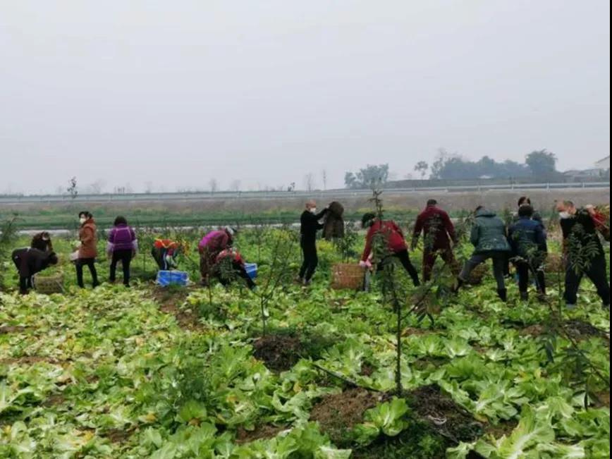 【供销战疫记④】这一刻，我们都是供销人！