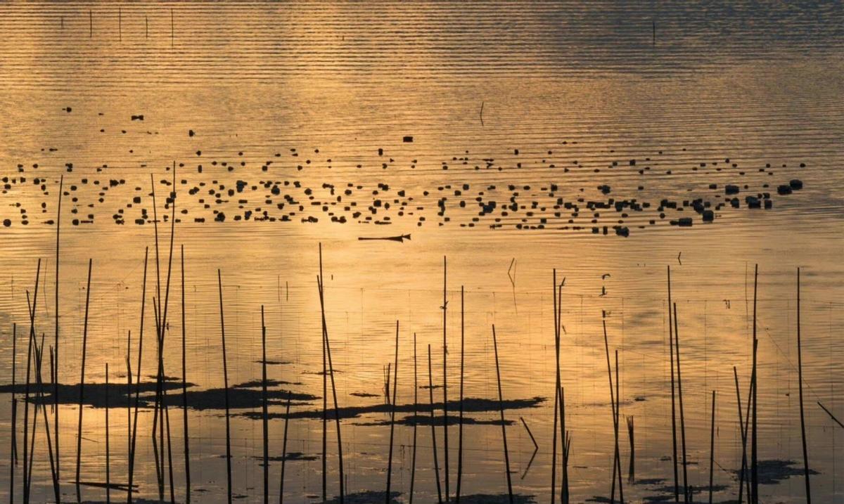 自卑的人不愿意做这三种事,怎么克服自卑和半途而废的心理