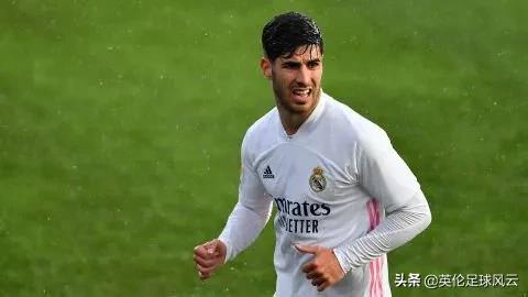 巴洛特利没脑子,我们怎么看懂巴洛特利