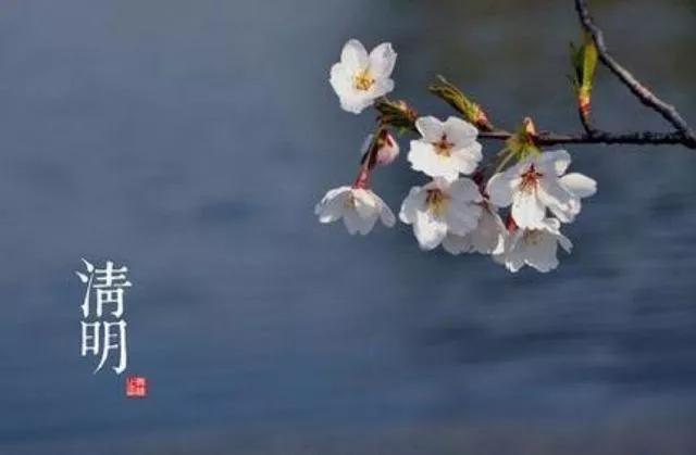 上坟不带烧纸的是什么意思,清明一坟不烧二纸什么意思