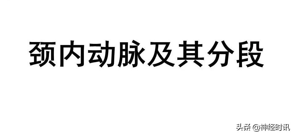 脑动脉解剖学讲解,脑膜中动脉解剖讲解