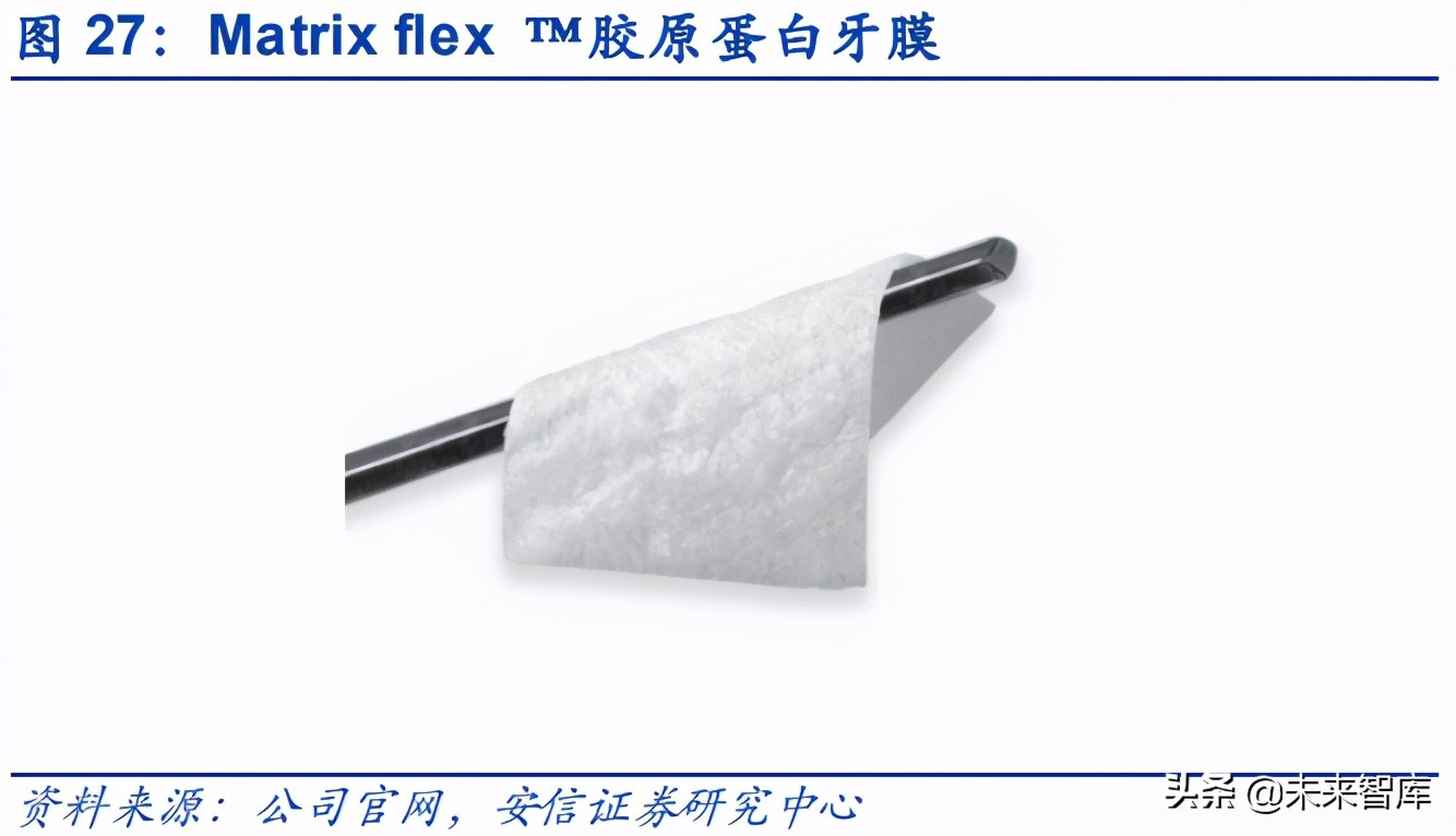 胶原蛋白在大健康行业的应用,胶原蛋白的新材料