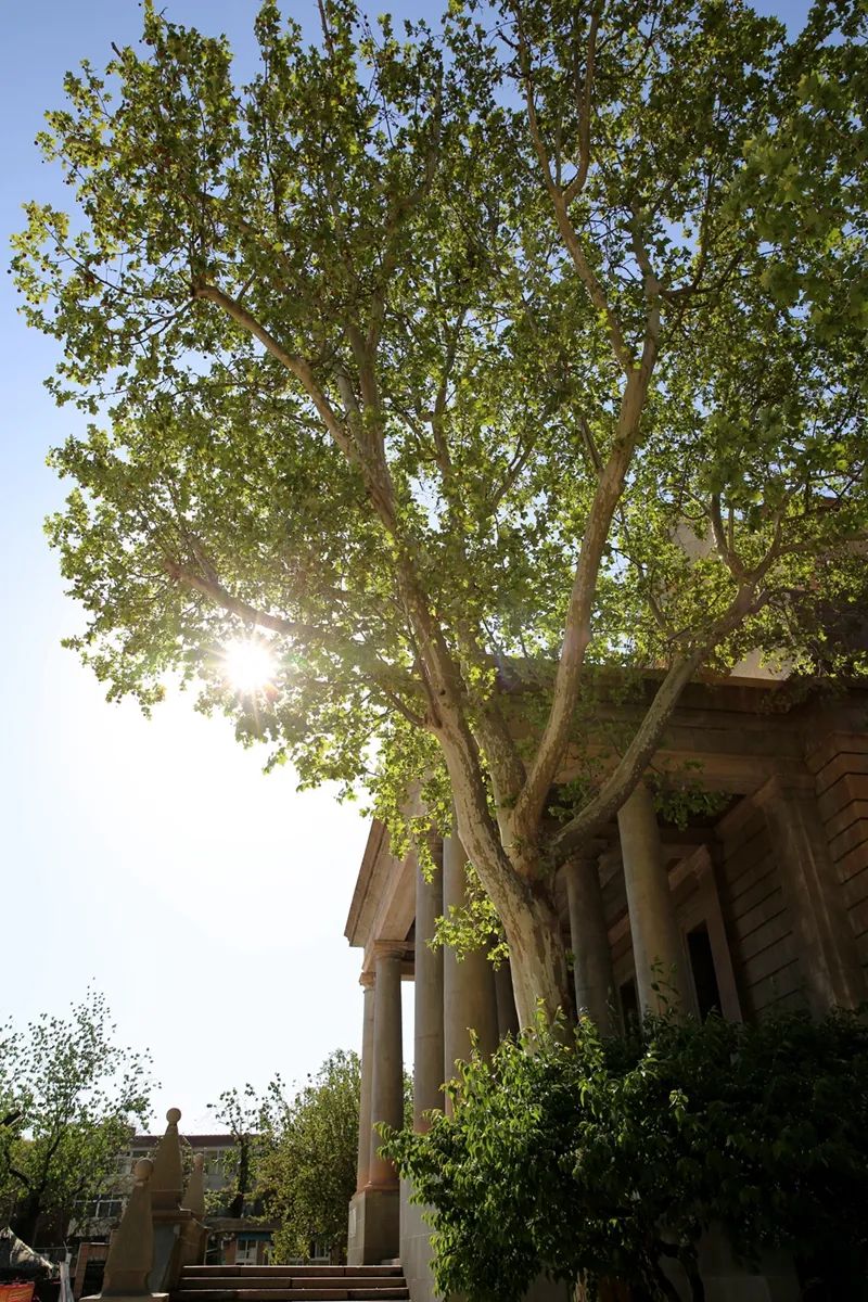 从优质教育走向均衡后的优质教育——天津市第二十中学初*特中**色办学纪实