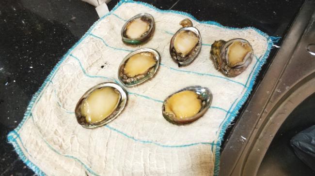 这样炒的鱿鱼脆嫩鲜香越吃越想吃,家常小炒鱿鱼鲜香美味下酒又下饭