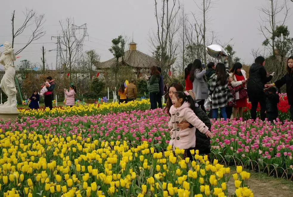 几十块钱玩一天,几十块钱玩一天天津