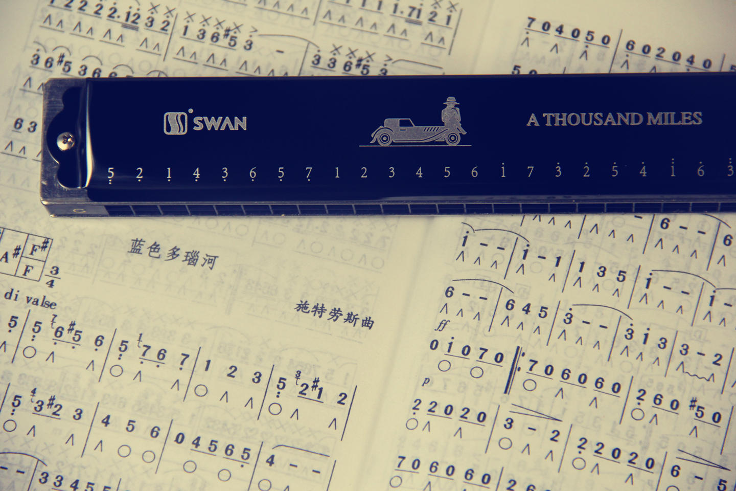 才艺表演技穷?零基础也能快速上手,天鹅演奏级口琴让你拿得出手