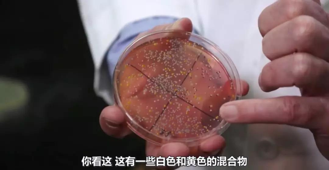 口红别人使用过的会携带细菌吗,专柜口红试用装会传染疾病吗