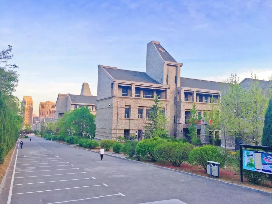 辽宁省民办大学（二）大连东软信息学院