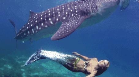 美人鱼水下课程,美人鱼海洋课程