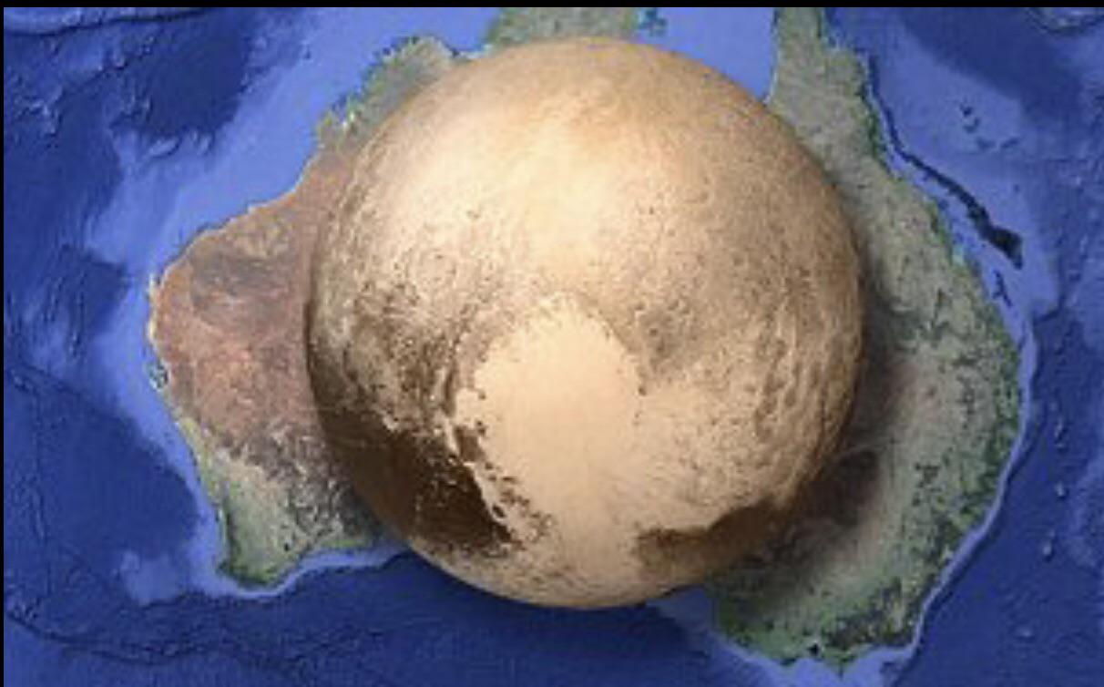 显微镜下蚂蚁的真实面目图片,蚂蚁在显微镜下的样子图片