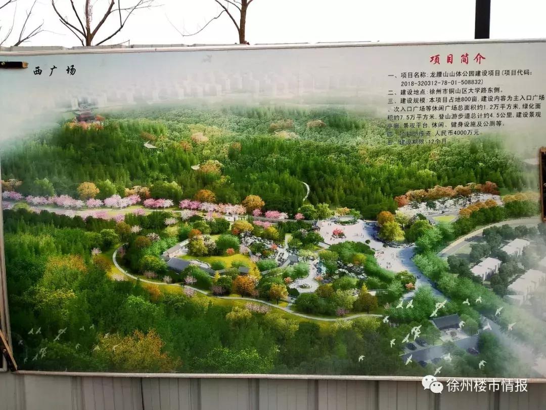 徐州森林公园,徐州森林公园开放时间最新