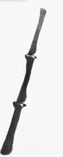 国画基础教程竹子的画法,竹子国画画法教程