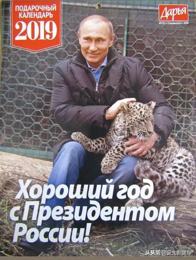 鏂伴矞浜嬪効,浣撹偛鏂伴矞浜嬪効