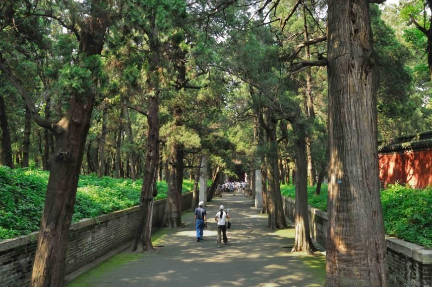 曲阜孔子之墓,曲阜孔子墓之谜