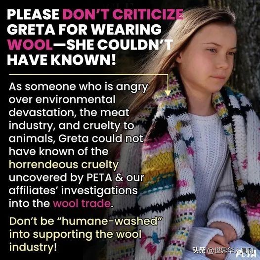 不让中国人吃海鲜的视频,不让中国人吃海鲜的背后