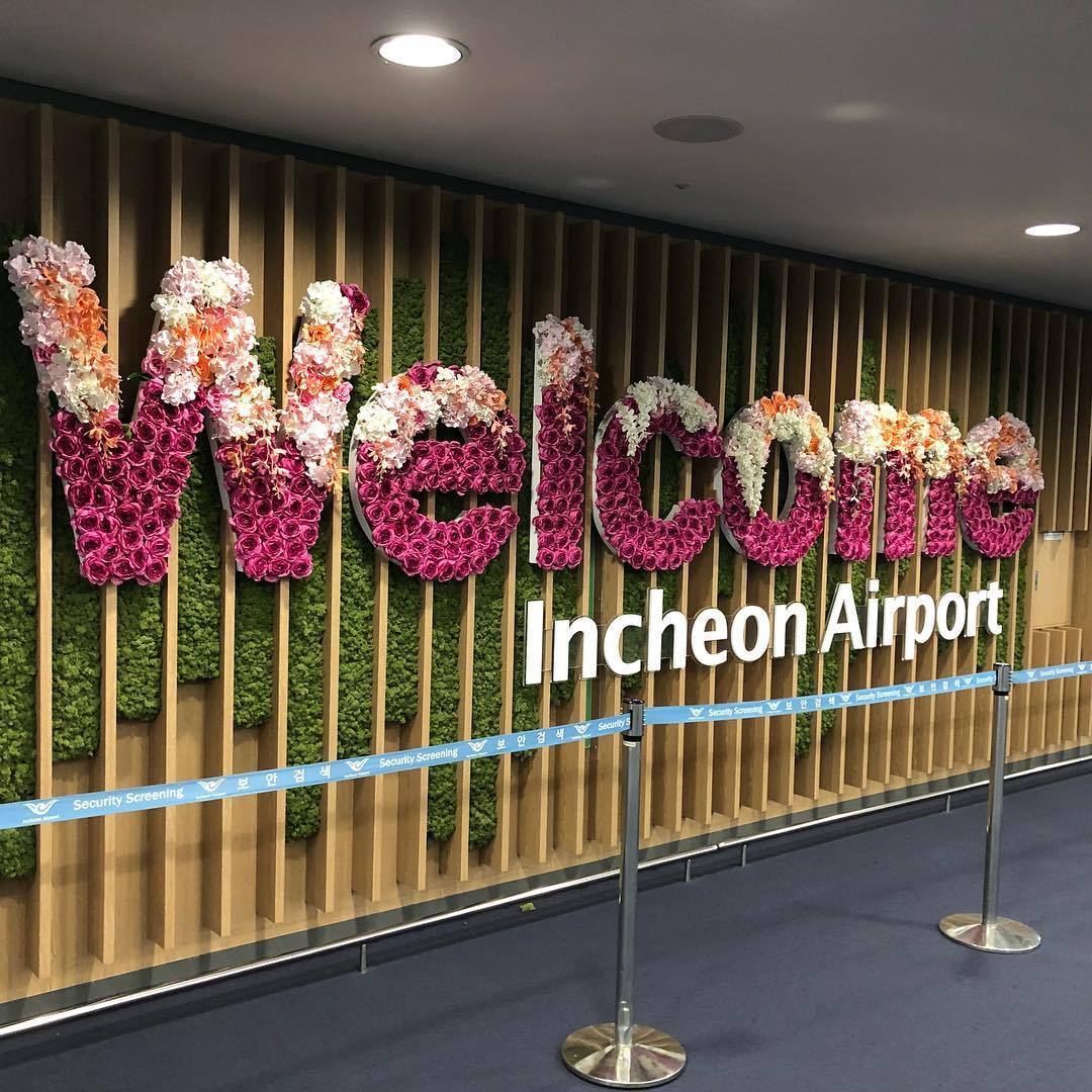 机场免税店必买好物,免税店便宜好用推荐