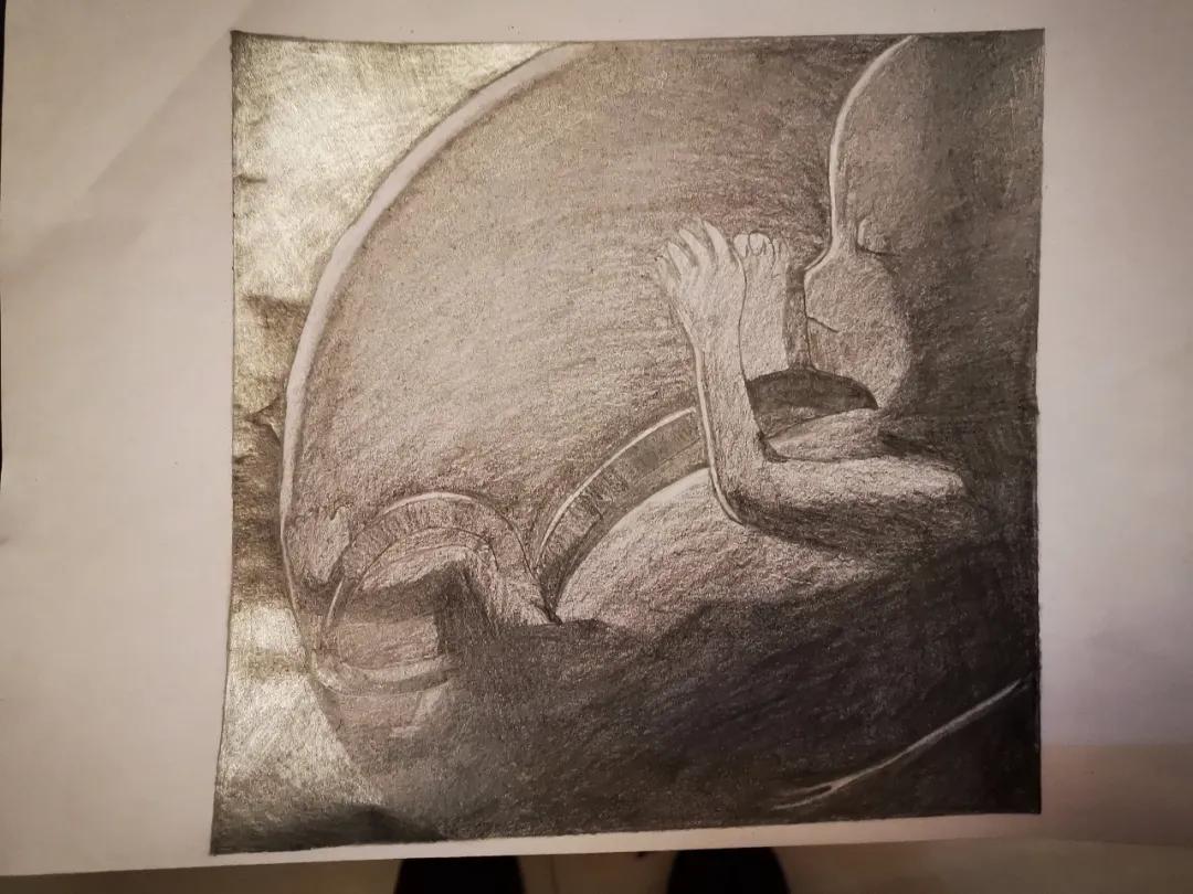 生命的故事绘本电子版,生命的故事图片