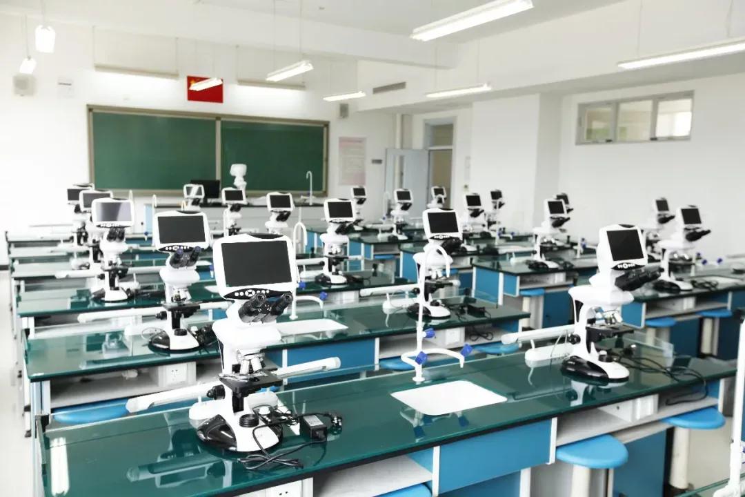 天津市第五十四中学高中,天津市第二十五中学在天津排名