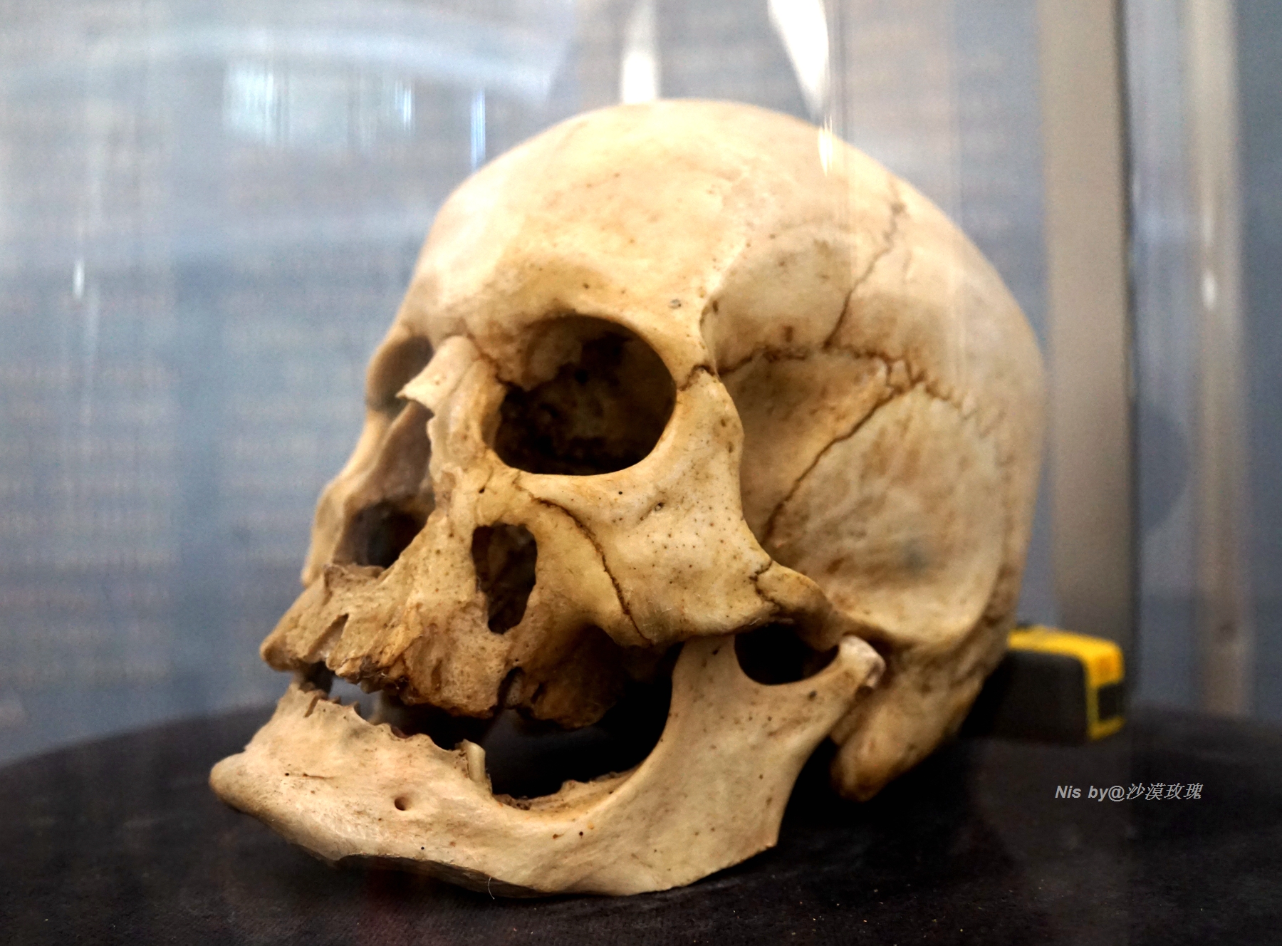 世界上现存最高的砖木结构的古塔,世界唯一特意建造的斜塔