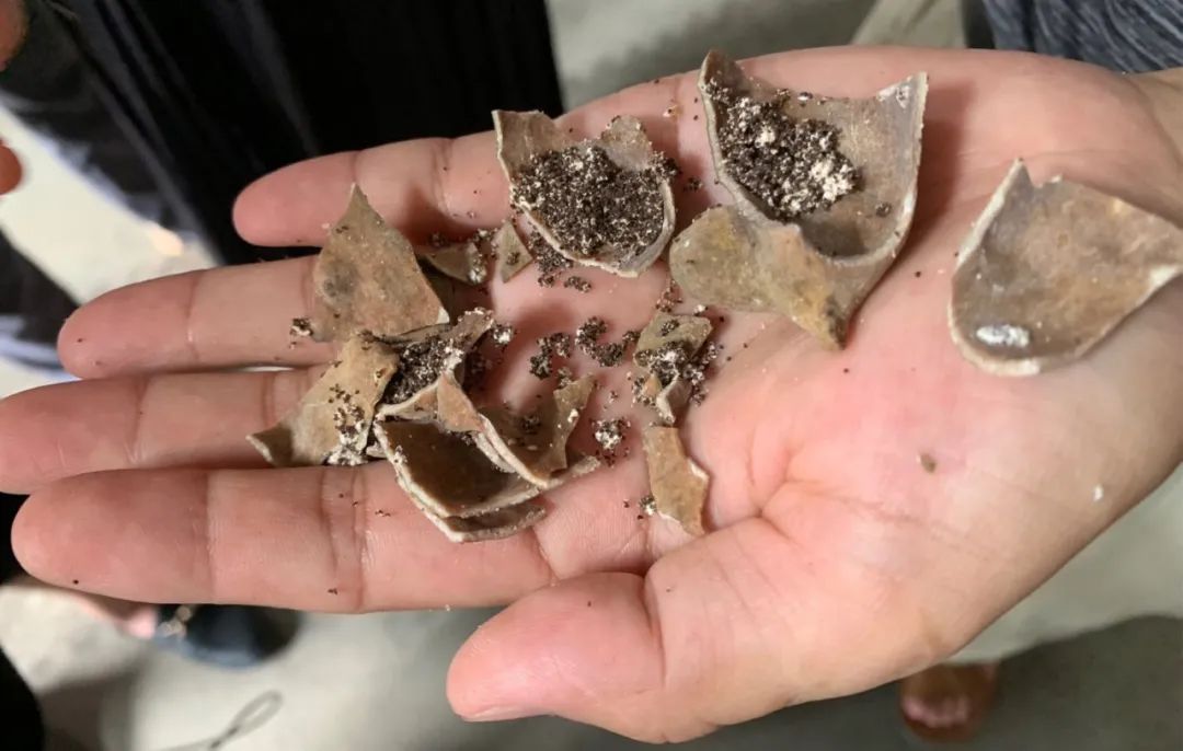 农商银行助推乡村振兴路径,农商银行开展金融助力乡村振兴