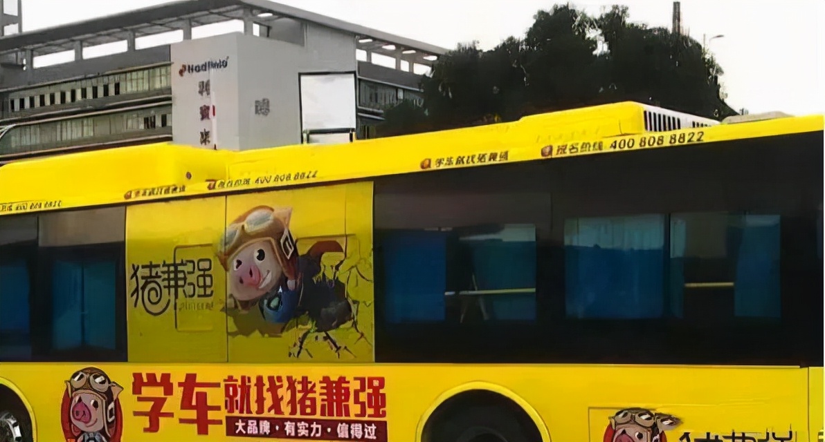 红极一时而后又落魄,红极一时到无人问津的下场