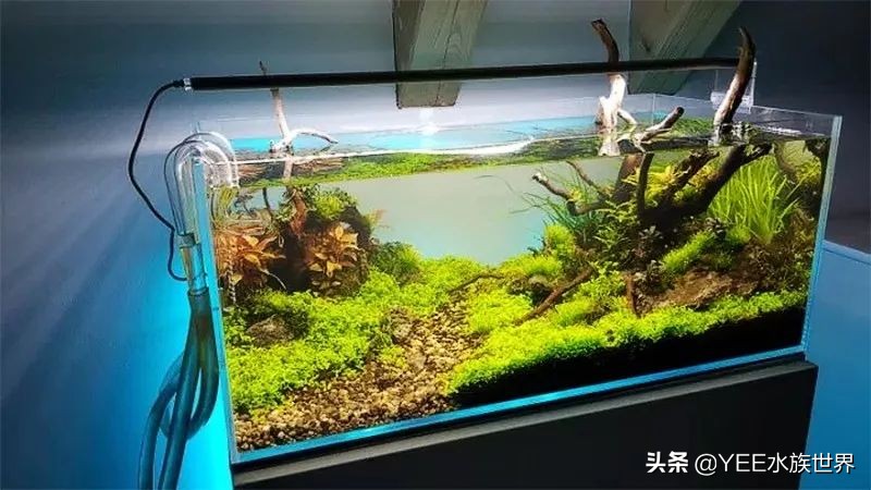 超白缸的优点和缺点,超白缸优点