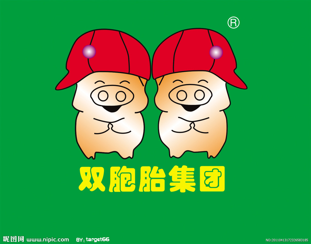 500强中国企业双胞胎集团,双胞胎企业500强