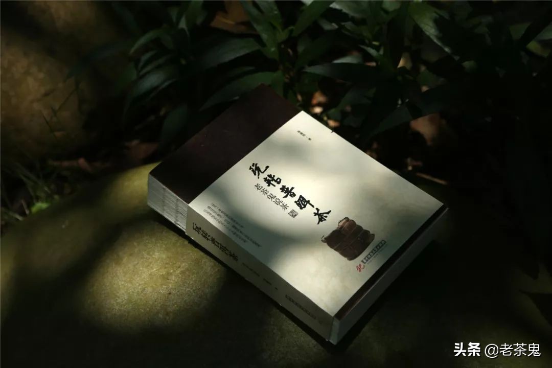 老鬼说茶玩转普洱茶,玩转普洱茶老茶鬼说茶