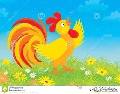 小小动物园作文第一名,怎么写小小动物园作文