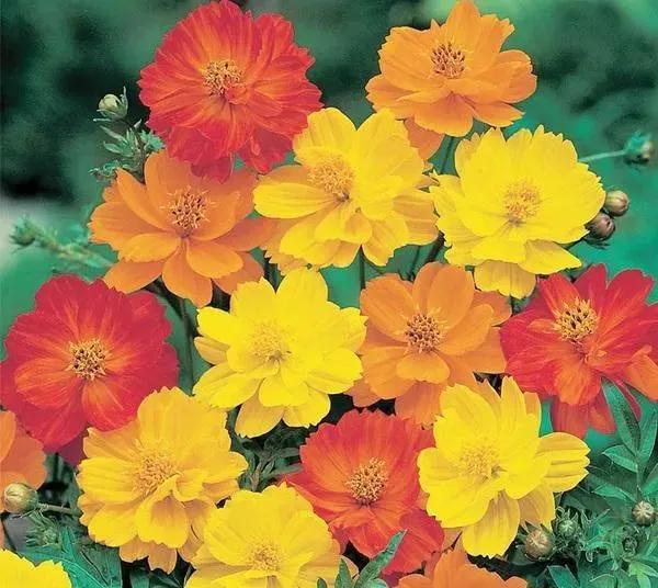 彭山景区活动购票,常德彭山景区游玩攻略图