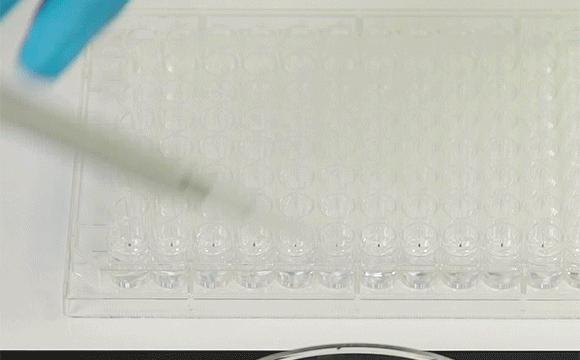 装修设计要知道的事,装修过来人的大实话视频