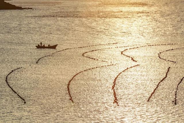 突然就想去旅游了,忽然间就想去厦门了