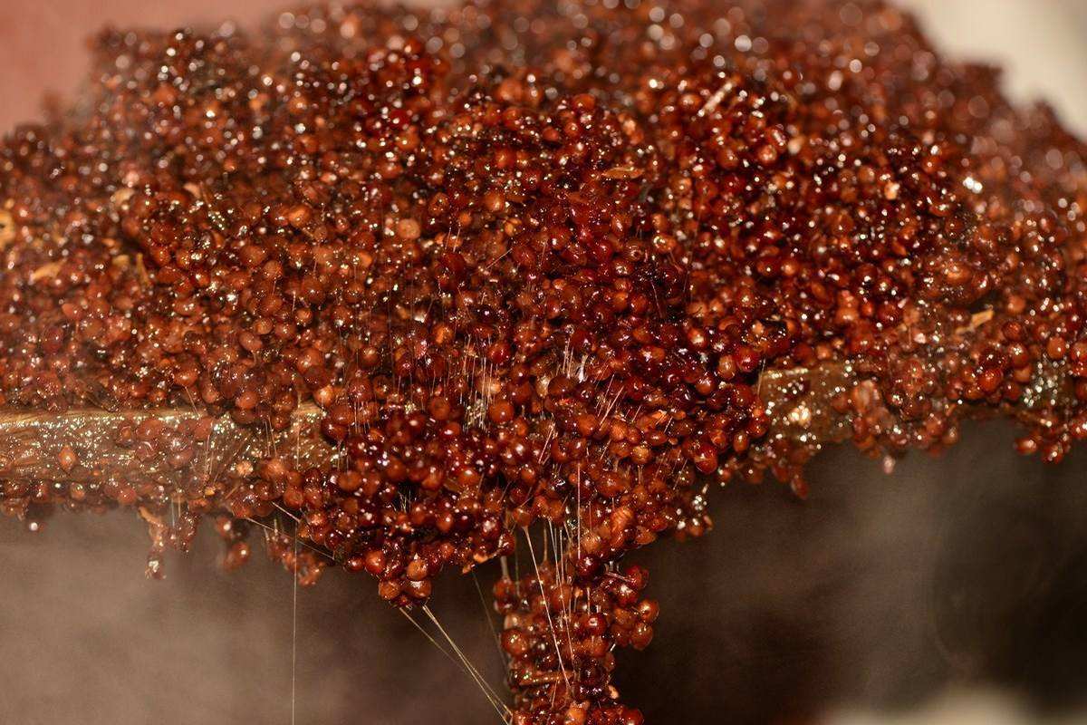 酱香白酒知识图片,酱香型白酒你不知道的冷知识