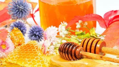 支气管炎克星治咳嗽,润肺止咳支气管炎的中药