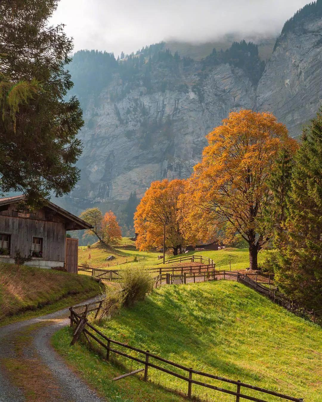 手机壁纸瑞士风光,瑞士风光全面屏壁纸