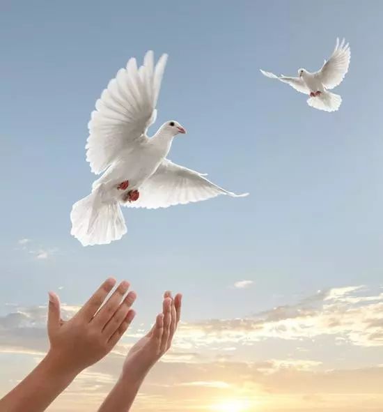 各国酒驾处罚方式新加坡,新加坡酒驾怎么处罚